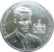5 Pounds - Elizabeth II Prince William, United Kingdom, 2003 reverse image