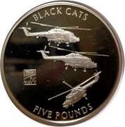 5 Pounds - Elizabeth II Naval Aviation - Black Cats, United Kingdom, 2009 reverse image