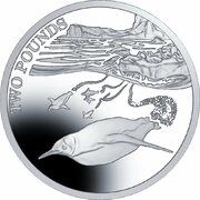 2 Pounds - Elizabeth II The emperor penguin; Silver, United Kingdom, 2016 reverse image