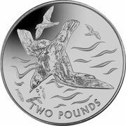 2 Pounds - Elizabeth II Blue petrel, United Kingdom, 2018 reverse image