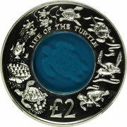2 Pounds - Elizabeth II Life of the turtle, United Kingdom, 2009 reverse image