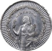 1 Peso Pattern - Standing Liberty Allegory, Argentina, 1946 reverse image