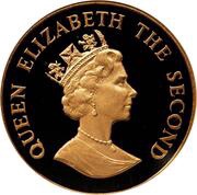 50 Pence - Elizabeth II V.E. Day obverse image