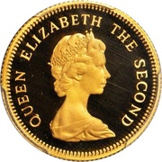 1 Pound - Elizabeth II obverse image