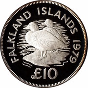10 Pounds - Elizabeth II Conservation; Silver Proof Issue, United Kingdom, 1979 reverse image