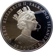 25 Pounds - Elizabeth II Royal Wedding obverse image