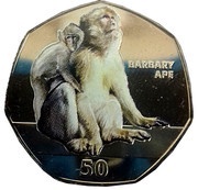 50 Pence - Elizabeth II 2018 Barbary Ape - Coloured, United Kingdom, 2018 reverse image