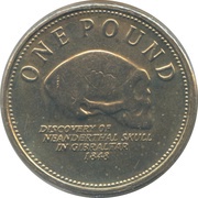 1 Pound - Elizabeth II Neanderthal Skull - Type 1, United Kingdom, 2005-2011 reverse image