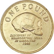 1 Pound - Elizabeth II Neanderthal Skull - Type 2, United Kingdom, 2009-2013 reverse image