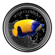 2 Dollars - Elizabeth II Blue Girdled Angelfish; Colourised reverse image