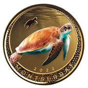 10 Dollars - Elizabeth II Sea Turtle; Colourised, United Kingdom, 2022 reverse image