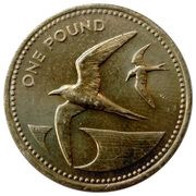 1 Pound - Elizabeth II 3rd portrait, United Kingdom, 1991-2015 reverse image