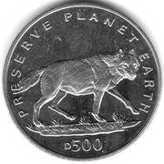 500 Dinara Gray Wolf reverse image