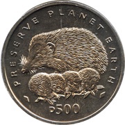 500 Dinara Hedgehogs reverse image