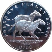 750 Dinara Eohippus reverse image