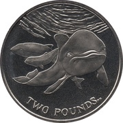 2 Pounds - Elizabeth II The Spectacled Porpoise, United Kingdom, 2014 reverse image