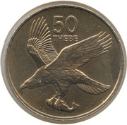 50 Thebe reverse image
