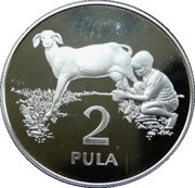 2 Pula Save the Children Fund reverse image