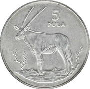 5 Pula Gemsbok reverse image