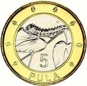 5 Pula reverse image