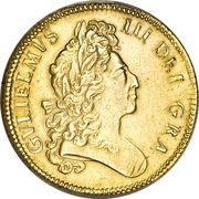 5 Guineas - William III 1st bust obverse image