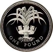 1 Pound - Elizabeth II Welsh Leek; Silver Piedfort, United Kingdom, 1985 reverse image