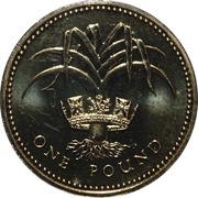 1 Pound - Elizabeth II 3rd portrait; Welsh Leek, United Kingdom, 1985-1990 reverse image