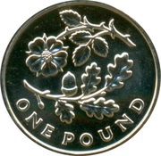 1 Pound - Elizabeth II 4th portrait; Oak and Rose, United Kingdom, 2013 reverse image