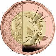 1 Pound - Charles III Bees; Gold Proof, United Kingdom, 2023-2024 reverse image