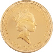 2 Pounds - Elizabeth II United Nations; Gold Proof obverse image