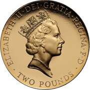 2 Pounds - Elizabeth II UEFA Euro 1996; Gold Proof obverse image