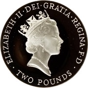 2 Pounds - Elizabeth II UEFA Euro 1996; Silver Piedfort obverse image