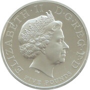5 Pounds - Elizabeth II Horatio Nelson; Platinum Piedfort obverse image