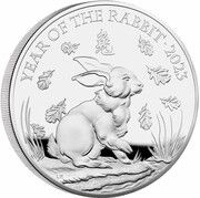 10 Pounds - Elizabeth II Posthumous; Year of the Rabbit; Silver Proof, United Kingdom, 2023 reverse image