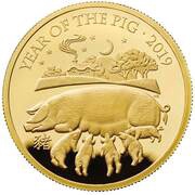 100 Pounds - Elizabeth II Year of the Pig; Gold Proof, United Kingdom, 2019 reverse image