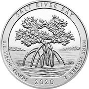 ¼ Dollar "Washington Quarter" Salt River Bay, U.S. Virgin Islands - Silver 5 oz Bullion, United States, 2020 reverse image