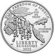 100 Dollars "American Platinum Eagle" Bullion Coinage obverse image