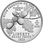 100 Dollars "American Platinum Eagle" Bullion Coinage obverse image