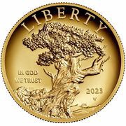 100 Dollars American Liberty High Relief obverse image