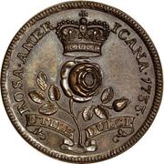 2 Pence - Rosa Americana Pattern reverse image