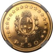 1 Peso Pattern reverse image