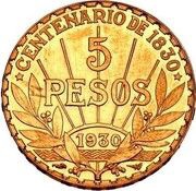 5 Pesos Pattern reverse image