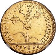 2 Doppie - Pius VI Semi-oval shields obverse image