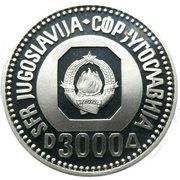 3000 Dinara Vuk Karadžić obverse image