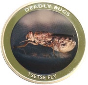 1000 Kwacha Tsetse Fly, Zambia, 2010 reverse image