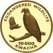 10 000 Kwacha African Fish Eagle reverse image