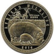 1000 Kwacha African Hippo reverse image