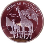 5000 Kwacha African Giraffe, Zambia, 2016 reverse image