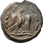 Unit reverse image