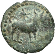 Semis obverse image